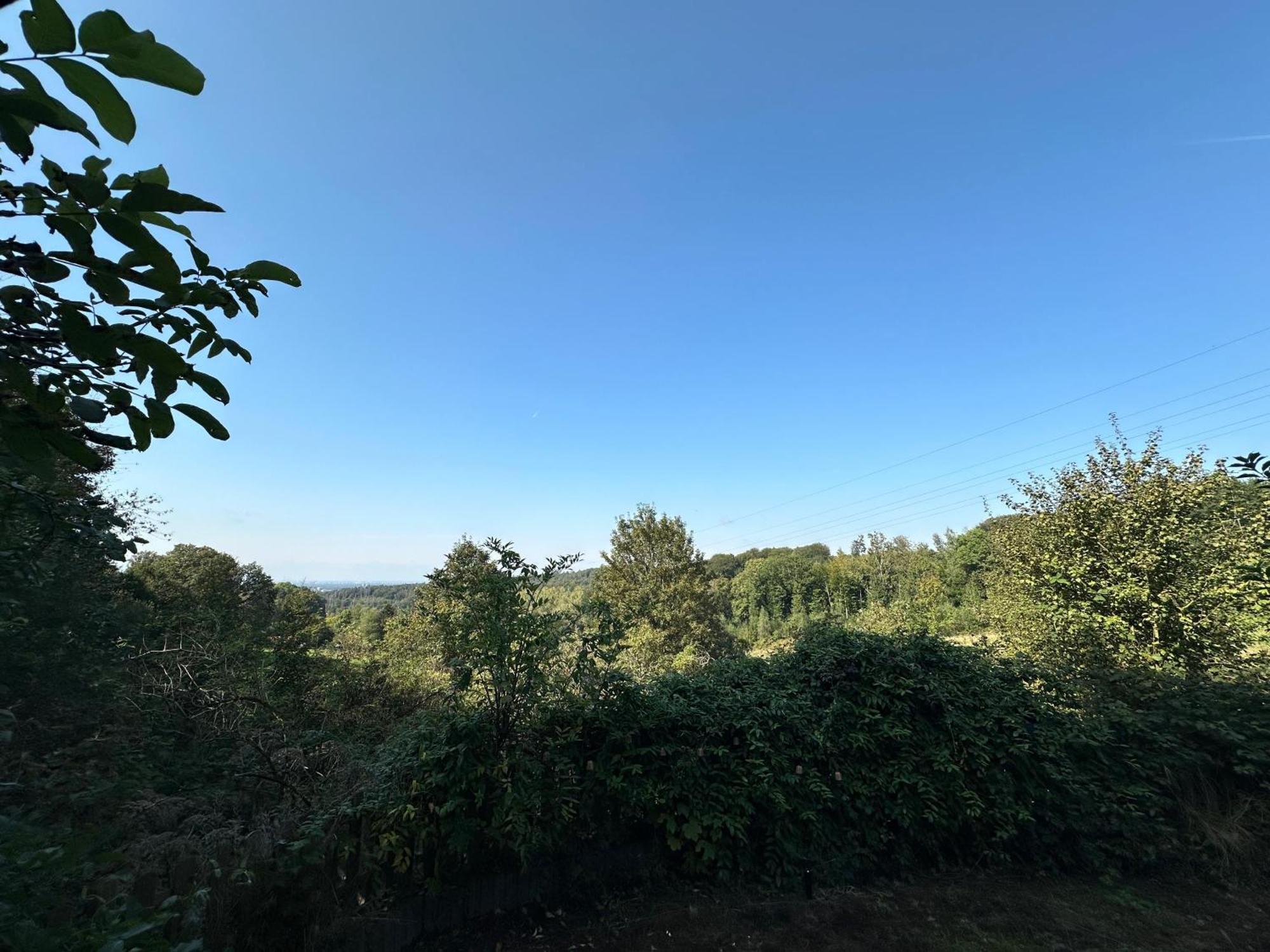 Zentrale Lage Zu Koeln Mitten In Der Natur! Bergisch Gladbach Exterior foto